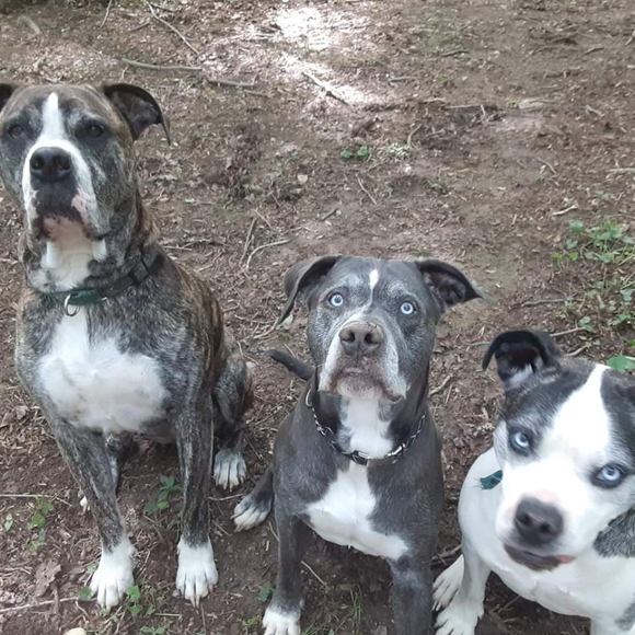 Meet your Posher, Kristine - Picture 1 of 3